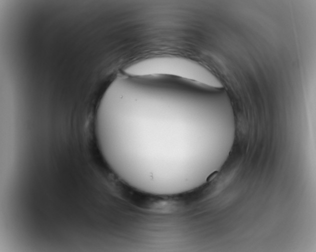 X0000095910364200802081058