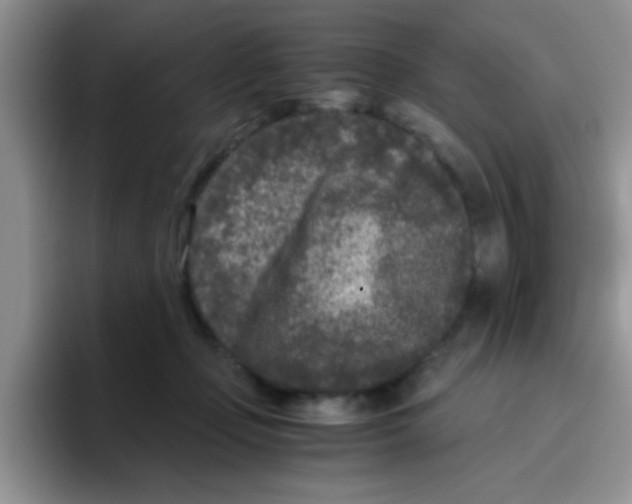 X0000095910365200802081058