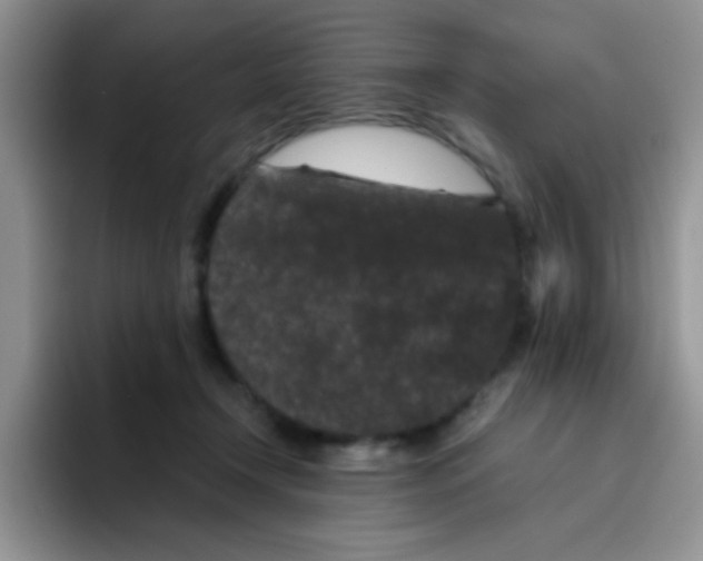 X0000095910366200802081058