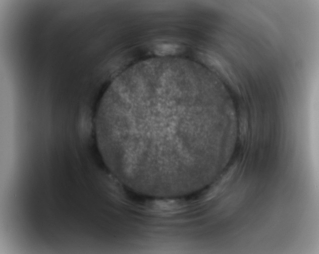 X0000095910367200802081058