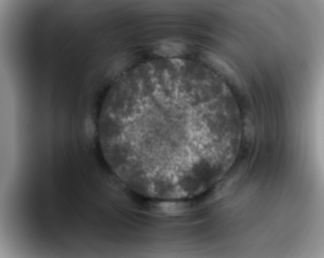 X0000095910371200802081058