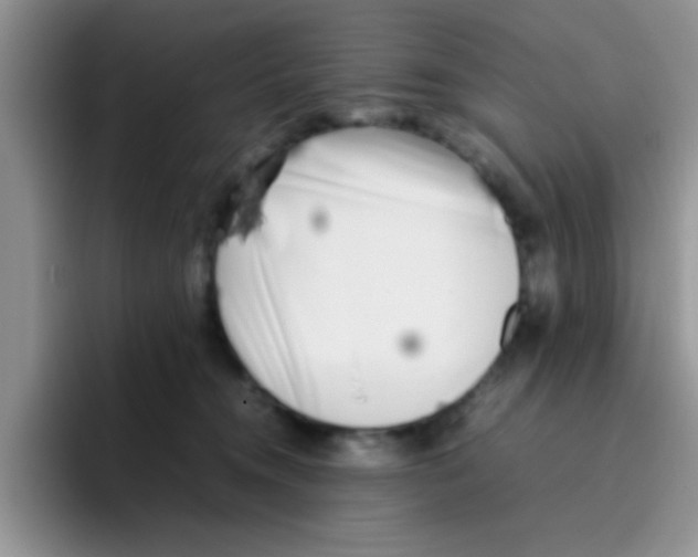 X0000095910372200802081058