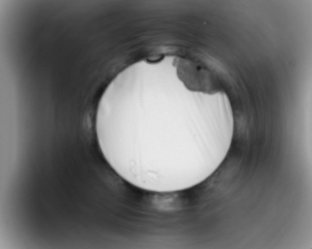 X0000095910373200802081058