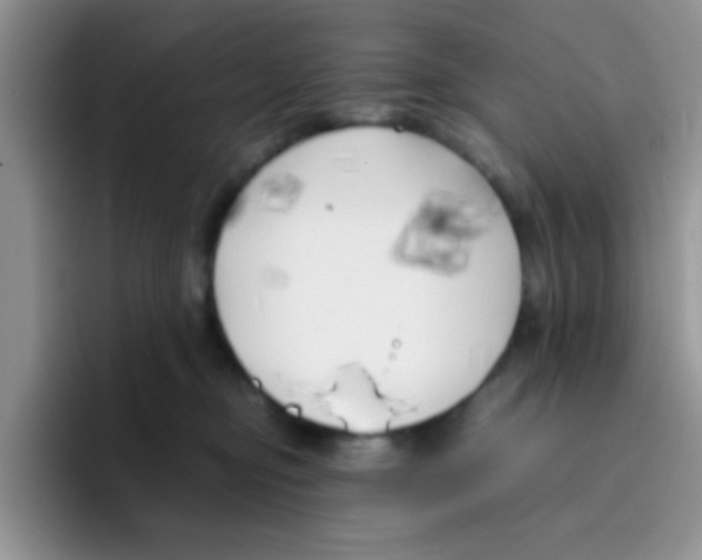 X0000095910374200802081058