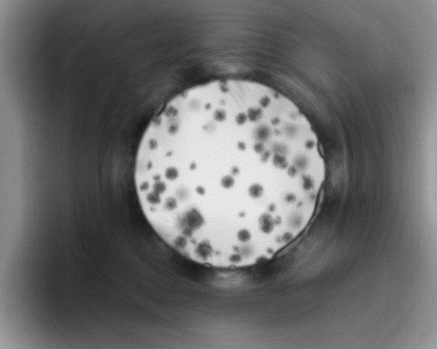 X0000095910376200802081058