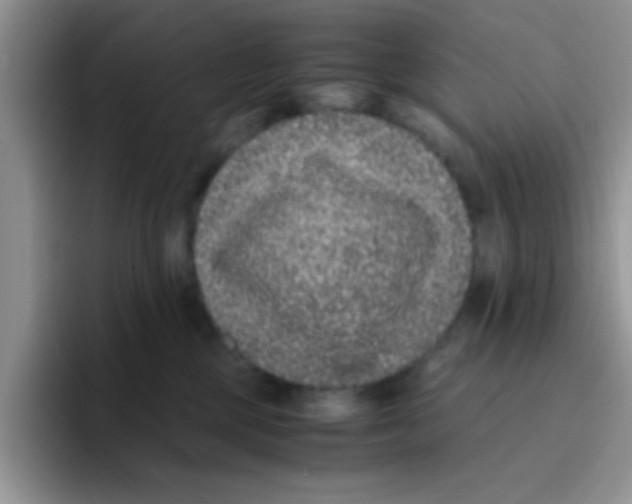 X0000095910377200802081058