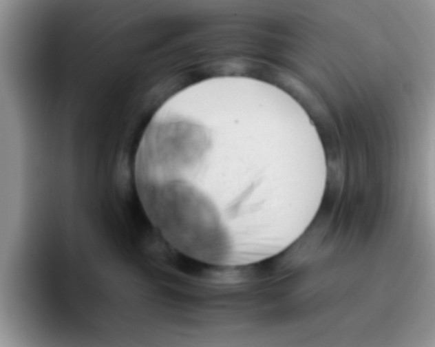 X0000095910381200802081058