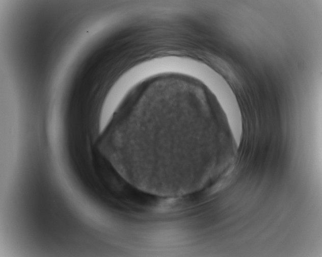 X0000095910382200802081058