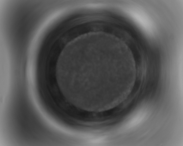 X0000095910383200802081058