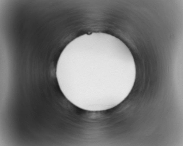 X0000095910384200802081058