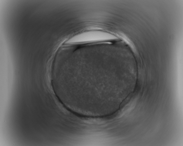 X0000095910385200802081057