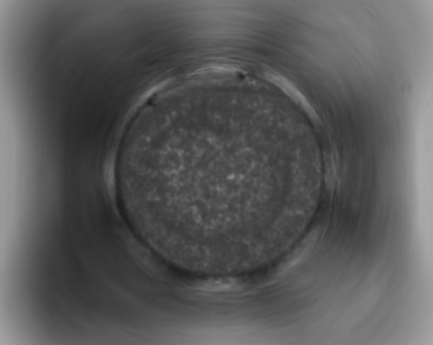 X0000095910386200802081057