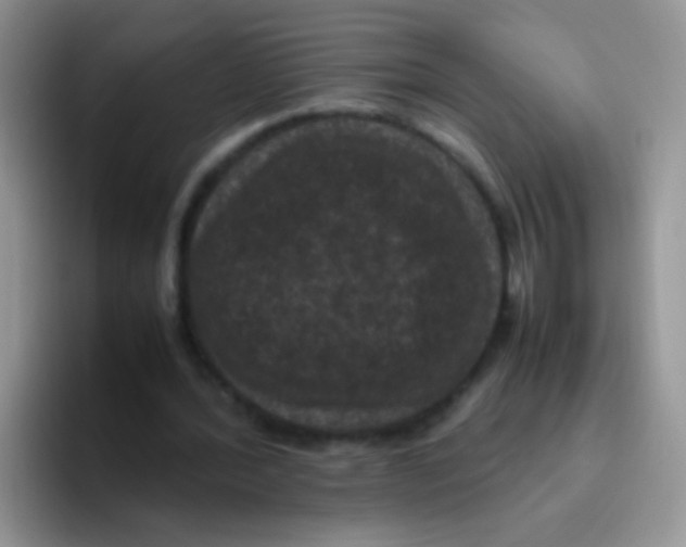 X0000095910388200802081057