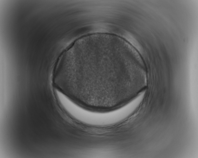 X0000095910389200802081057