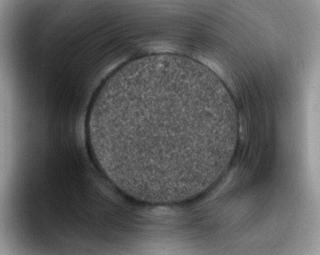 X0000095910390200802081057