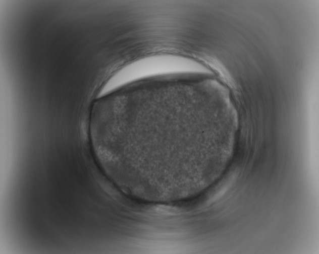 X0000095910393200802081057