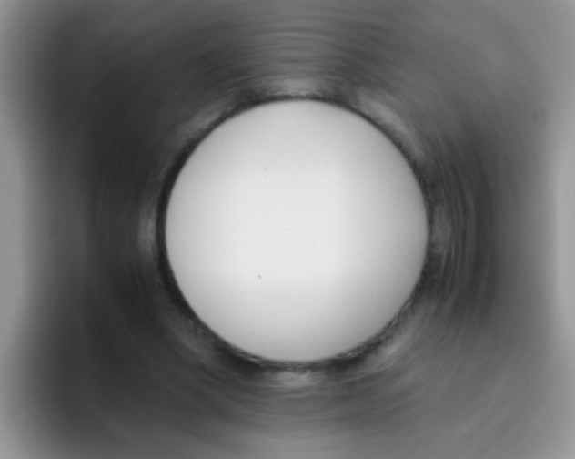 X0000095910394200802081057