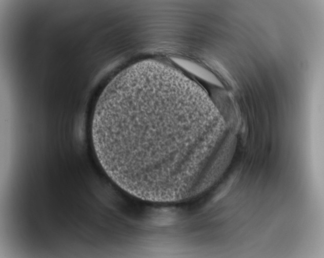 X0000095910396200802081057