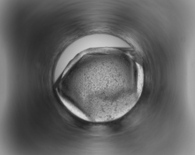 X0000095910397200802081057