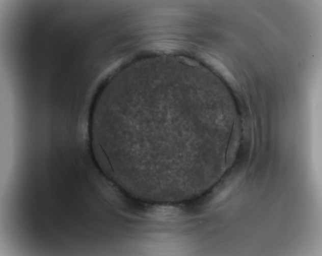 X0000095910399200802081057