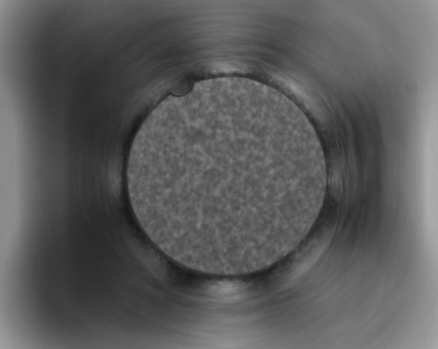 X0000095910402200802081057