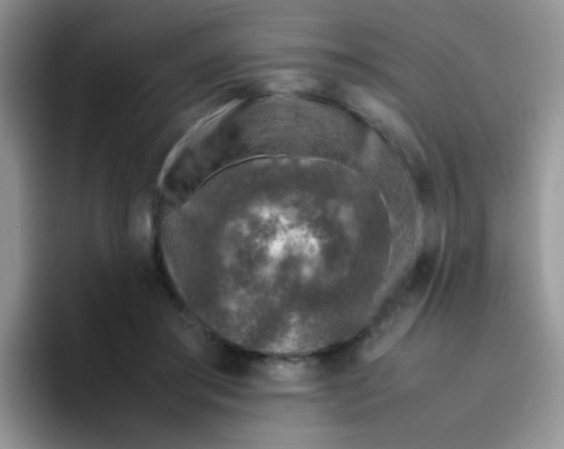 X0000095910405200802081057