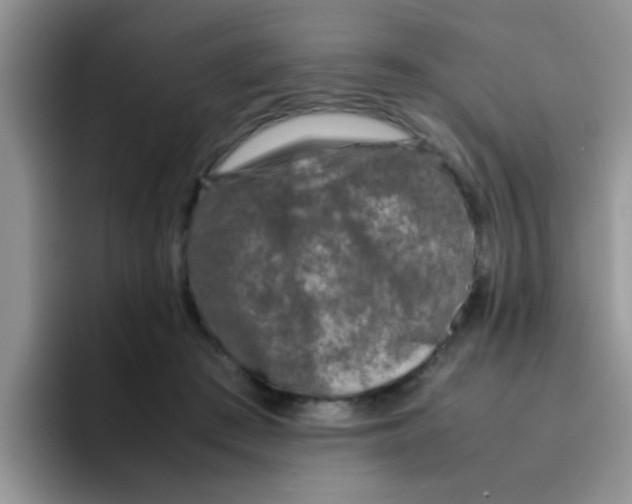 X0000095910409200802081057