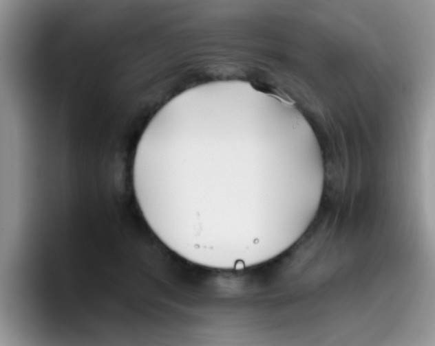 X0000095910416200802081057