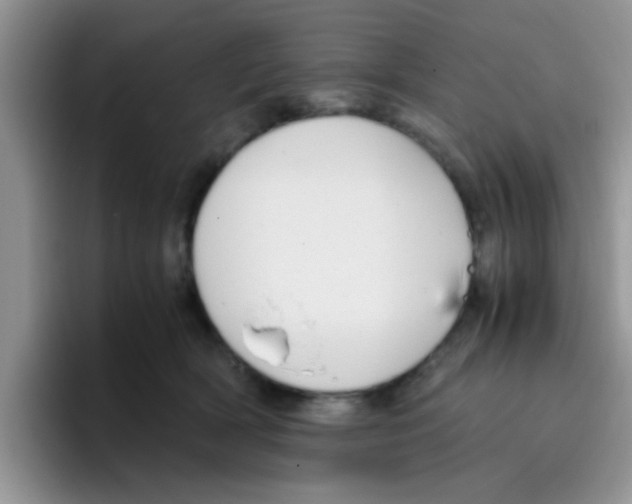 X0000095910418200802081057