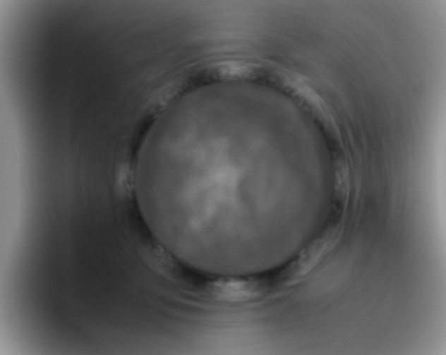 X0000095910419200802081057