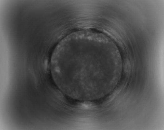 X0000095910420200802081057