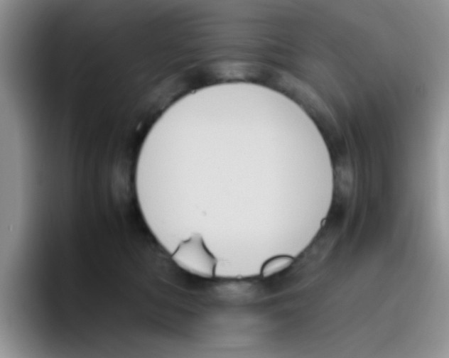 X0000095910422200802081057