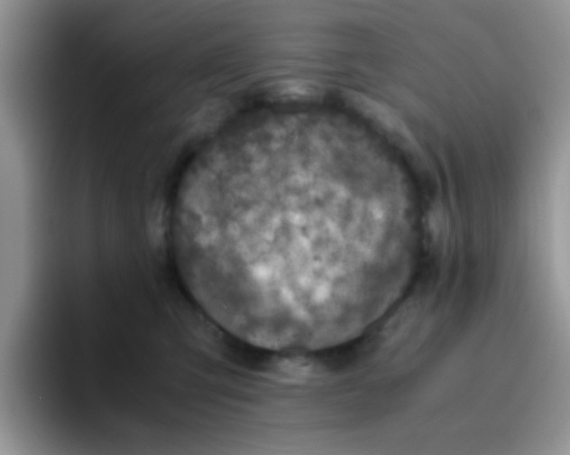 X0000095910423200802081057