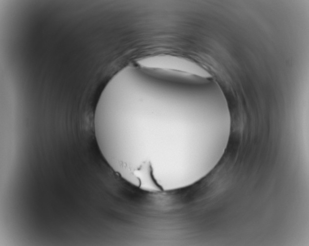 X0000095910425200802081057