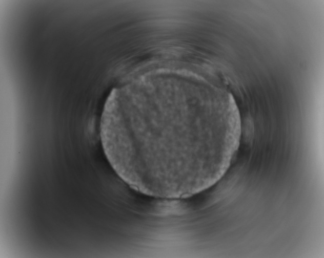 X0000095910428200802081057