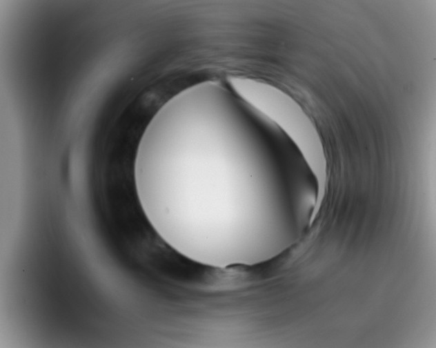 X0000095910429200802081057