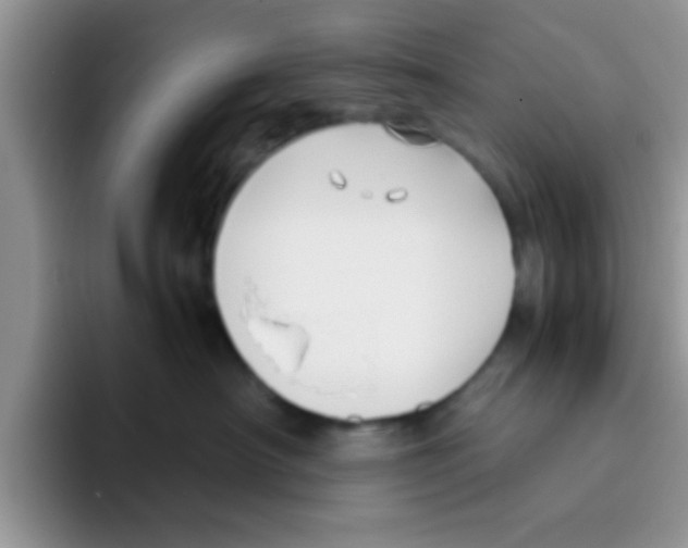 X0000095910430200802081057