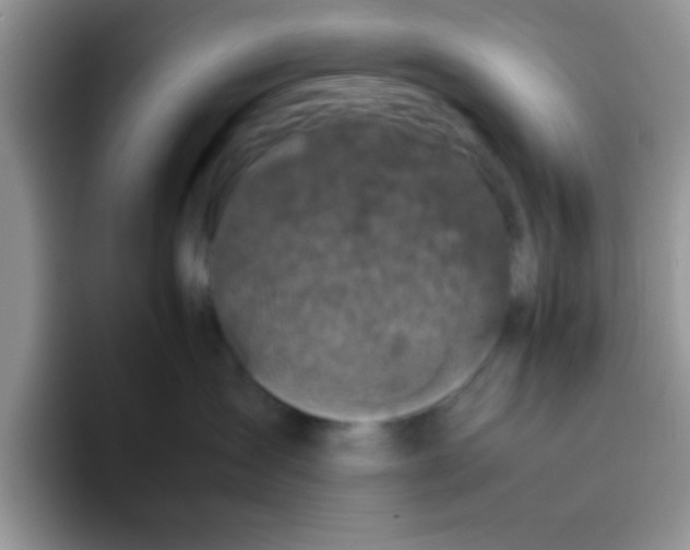 X0000095910431200802081057