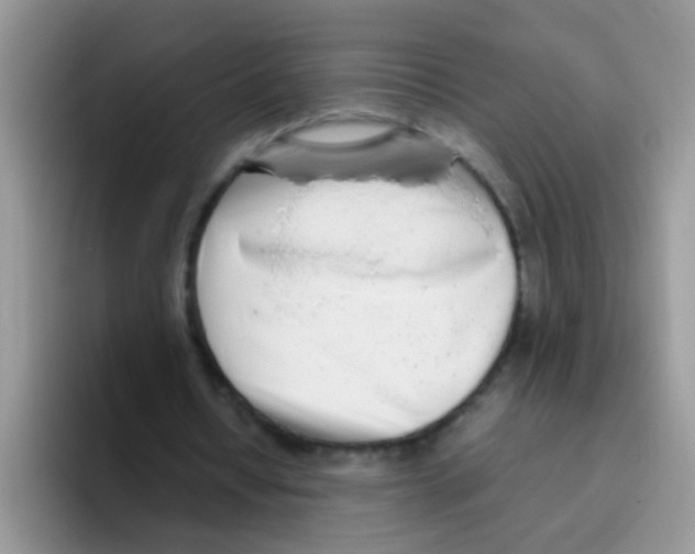 X0000095910434200802081056