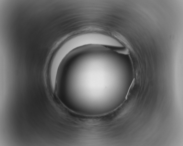 X0000095910436200802081056