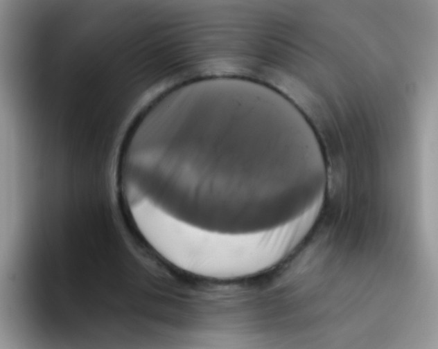 X0000095910438200802081056