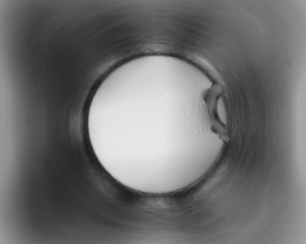 X0000095910439200802081056