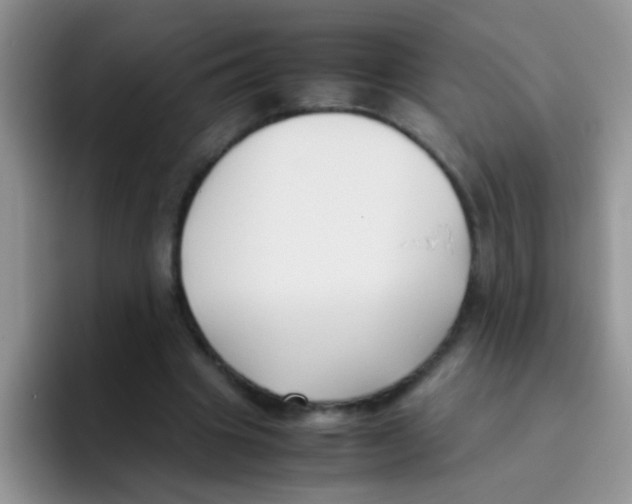 X0000095910441200802081056