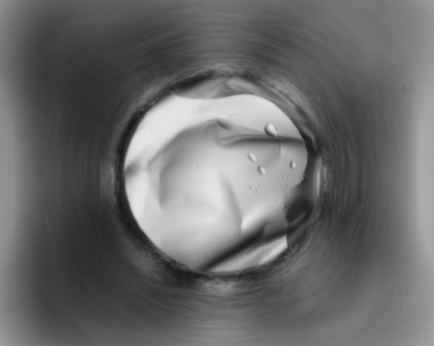 X0000095910444200802081056