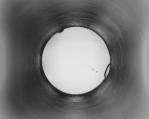 X0000095910445200802081056