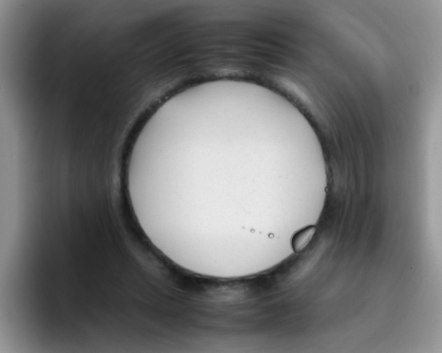 X0000095910447200802081056