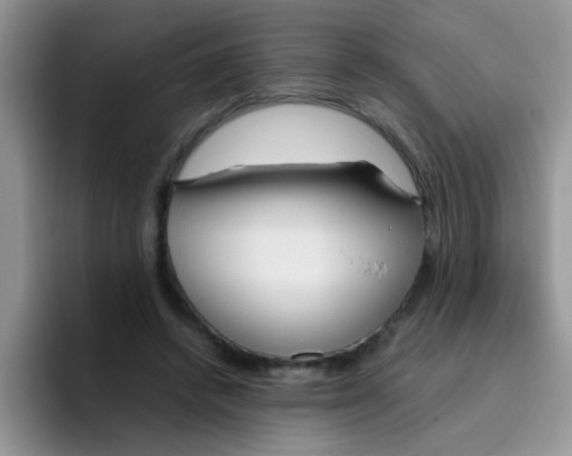 X0000095910448200802081056