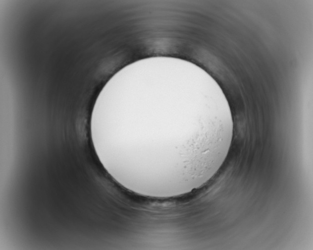 X0000095910450200802081056