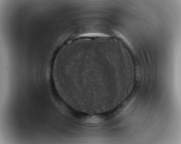 X0000095910451200802081056