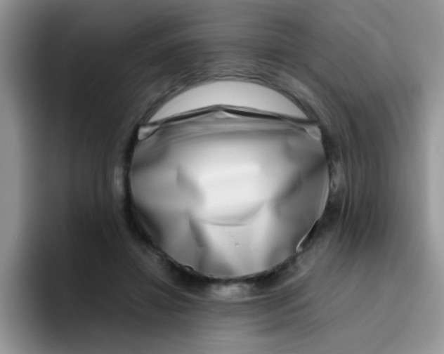 X0000095910452200802081056